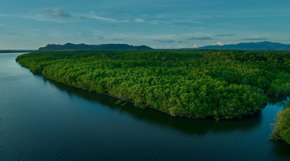 Bhagwati-Celestria-View